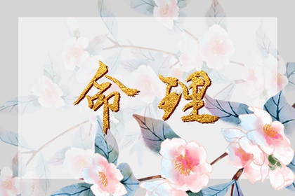 老黄历2026年黄道吉日,万年历老黄历原版,日历2020黄历表查询